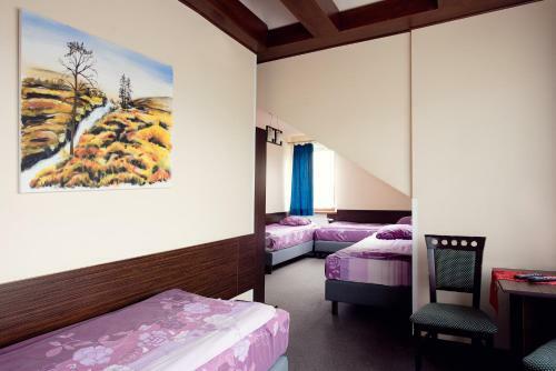 Hostal Willa Czarownica