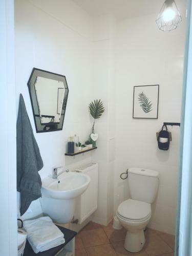Apartament Kaktus