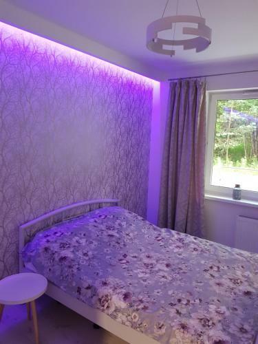 Apartament Mazurska 49