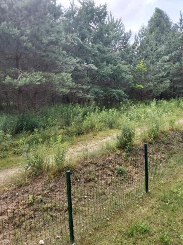 Apartament Mazurska 49