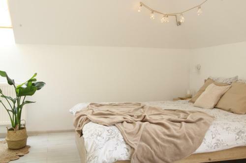 Ruda Sowa