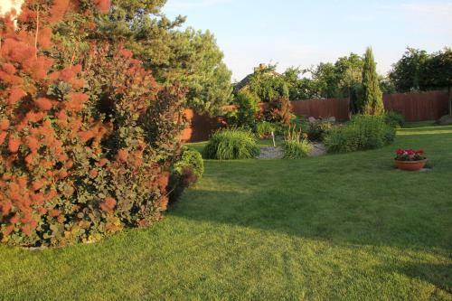 Agro Relax Nowodw�r