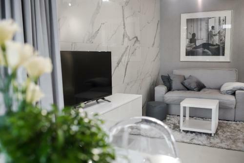 Apartament Gray