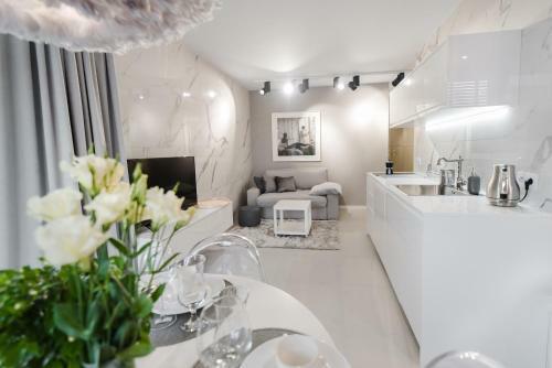 Apartament Gray