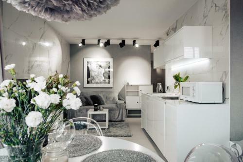 Apartament Gray