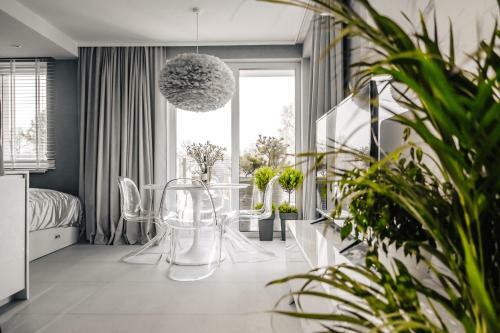 Apartament Gray