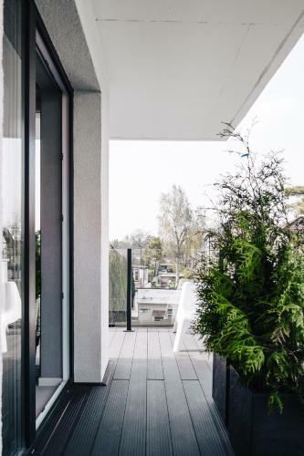 Apartament Gray