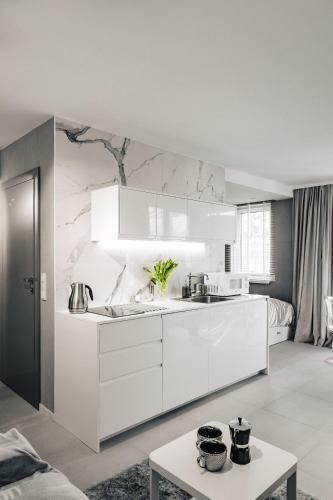 Apartament Gray