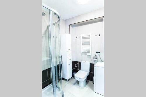 Apartament U Miecia
