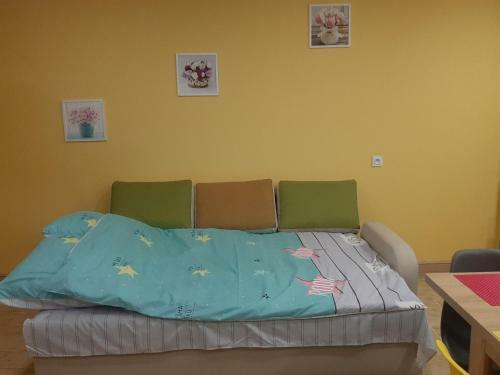 Apartamento Noclegi U Pauliny I Paw?a