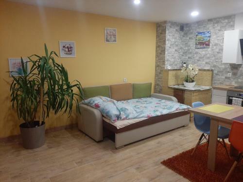 Apartamento Noclegi U Pauliny I Paw?a