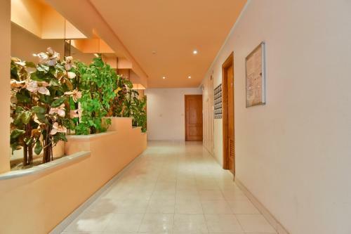 Apartment Diego Ram�rez