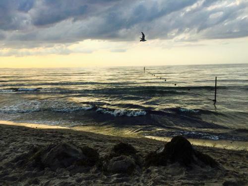 Bia?y Apartament Z Tarasem W Playa Baltis
