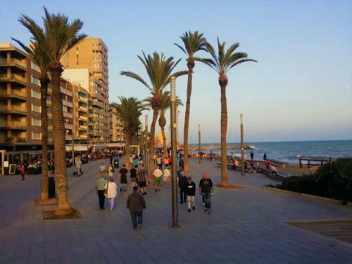 Apartamento Cozy Studio In Torrevieja, Estudio Tamarindo