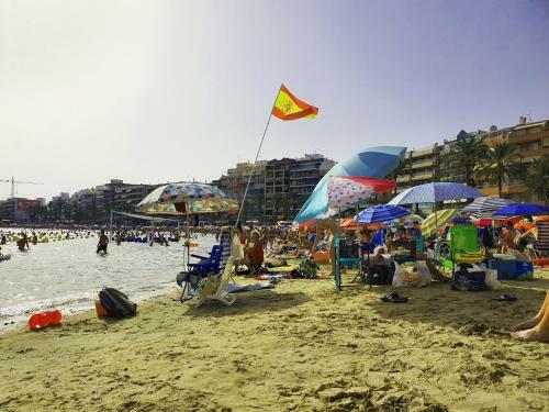 Apartamento Cozy Studio In Torrevieja, Estudio Tamarindo