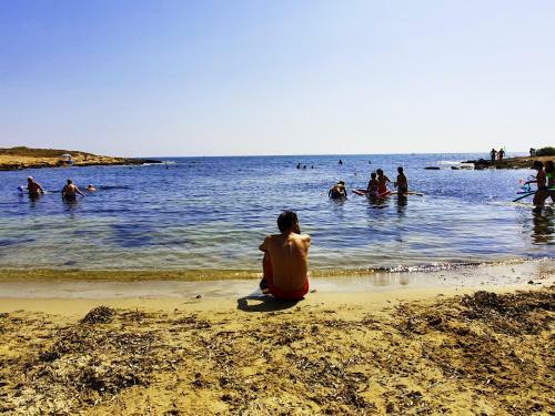 Apartamento Cozy Studio In Torrevieja, Estudio Tamarindo