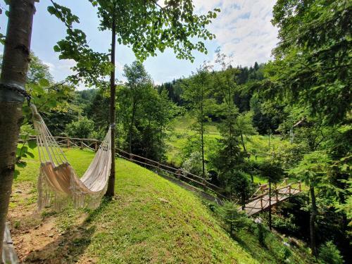 Domek Nad Stawami Ochotnica Dolna