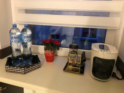 Apartament Kaktus Opole