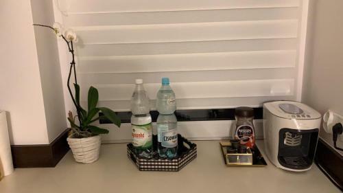 Apartament Kaktus Opole