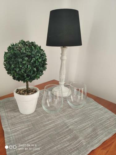 Apartamenty Pod Sosnami Ostr�da Mi?dzylesie
