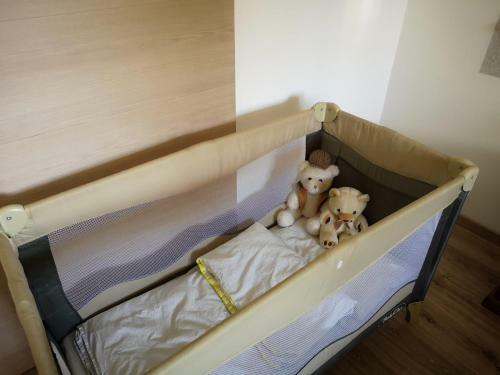 Apartament Paryski