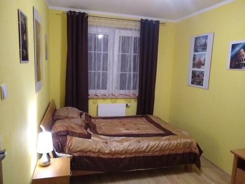 Green Apartment