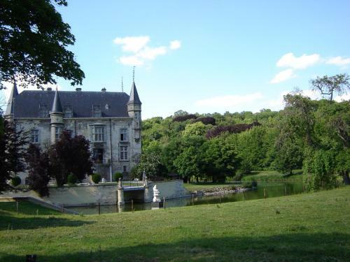 Appartementen En Hotel Kasteel Schaloen