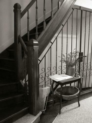Hotel Pastis