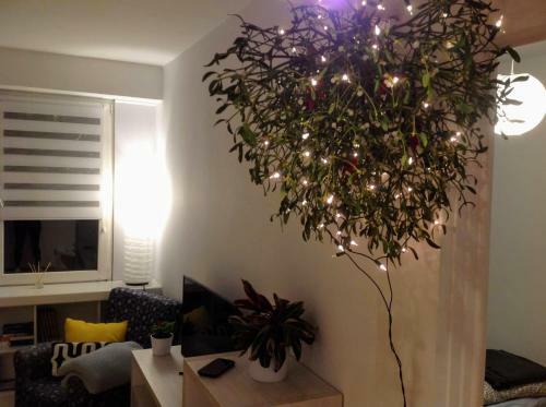 Apartament U?miech