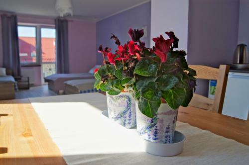 Apartamento Villa Terra