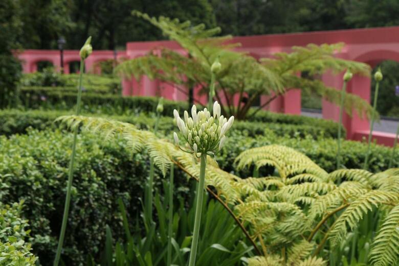 Hotel Quinta Jardim Da Serra