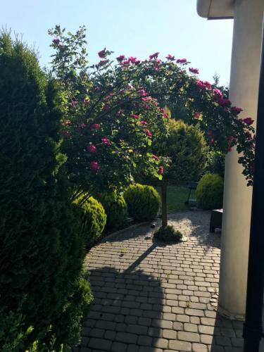 Apartament Neli