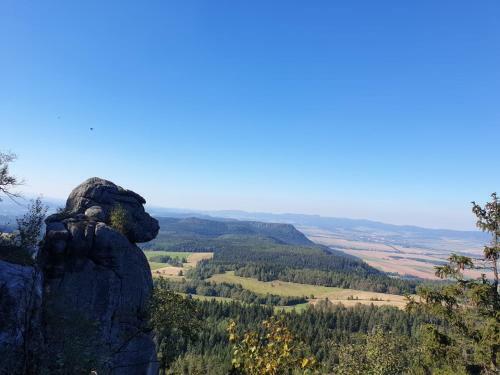 Modraszkowe Domki