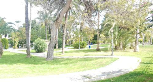Ecaterina Apartment