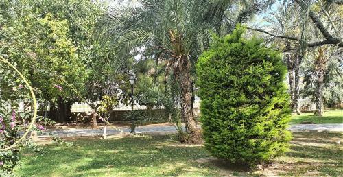 Ecaterina Apartment