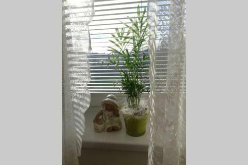 Apartament W Alejce