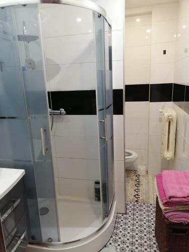 Apartamento Mieszkanie Na Doby. Centrum. Radom.
