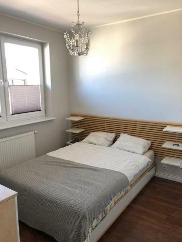 Olimpic Apartment