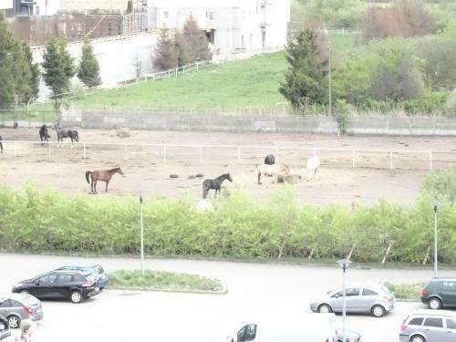 Przytulny Apartament Przy Aquapark Reda
