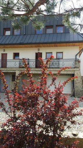 Apartamento Podzamcze