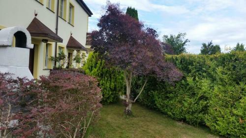 Apartament II