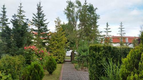 Apartament II