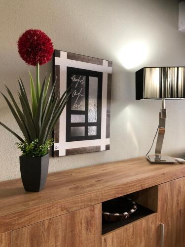 Apartamento Torrevieja - Caballero de Rodas 173