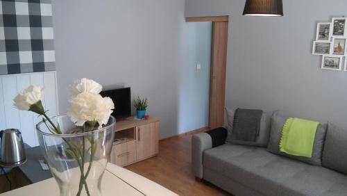 Apartament Pozna?ska 1