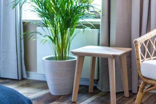 "havana" Apartament Premium Przy Starym Rynku