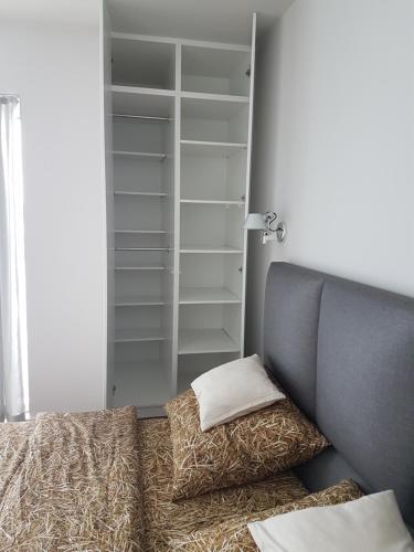 Apartament Towarowa 37