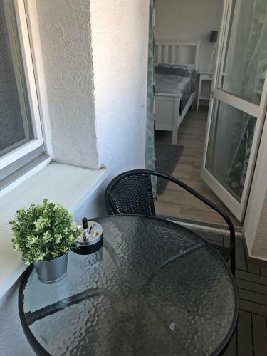 Apartament Swoboda