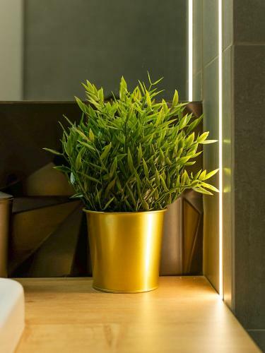 Apartament B�?nicza