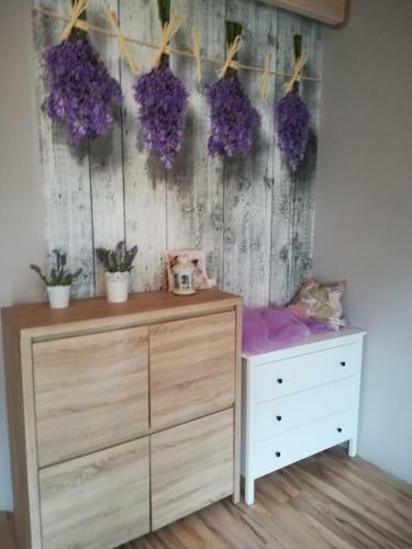 Apartamento Agroturystyka ?ciernisko
