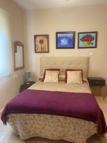 Homely Apartments Sol Poniente
